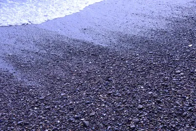 DSC_2125 (Large).JPG